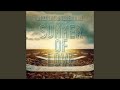 Summer of Love (Radio Edit) feat. Ehsan