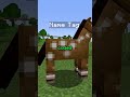 AMAZING Minecraft Tips and Tricks! #shorts