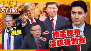 杜魯道淚崩後悔了！反華卻遭美盟友背刺！中國對加拿大關稅重拳再補一刀！【驚爆大白話】