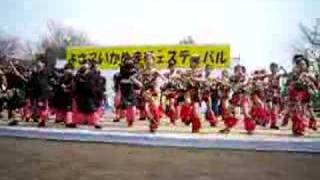 よさこい　総踊り