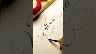 Becoming a PRO in CALLIGRAPHY for Beginners Starts Here! #calligraphy