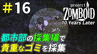 ゾンビを殲滅して都市部の採集場を確保しよう[Project Zomboid]：16