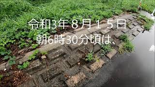 ②昨日の冠水　一夜明けて　庄内川　　名古屋市　中川区　万場大橋