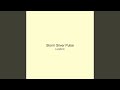 Storm Silver Pulse