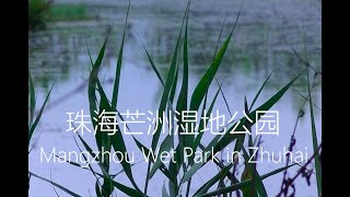 珠海芒洲湿地公园 Mangzhou Wetland Park in zhuhai