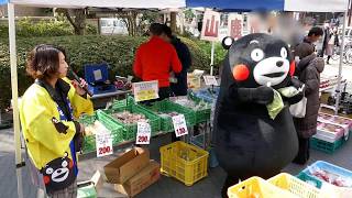 KUMAMON said that  Frill Lettuce～♪@山鹿の観光ＰＲ＆物産展20180223