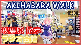 秋葉原 ラジオ会館 メイド通り 散歩 4K | Akihabara walk ( Feb. 2022 )