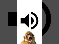 Gibbon Monkey Sound Effect