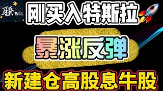 美股投资｜上周刚买入TSLA特斯拉,今天暴涨反弹.还能买吗?新建仓高股息牛股.｜美股趋势分析｜美股股票｜美股2023