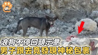 流浪狗對路人狂吠還不停回頭示意，好心男子跟上來到垃圾場，意外發現傳來嬰兒啼哭的包裹？#動物 #奇跡 #母愛 #感人故事 #流浪狗 #回家 #可愛 #遺棄#真實故事 #鏡頭記錄 #意外#出人意料