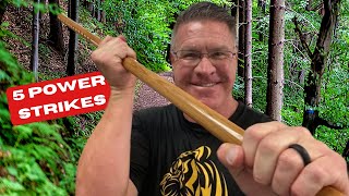 5 Walking Stick Self Defense Techniques With The Jo Martial Arts Staff