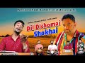 Dil Dichomai Shokhai | Waseem Sultan | Mahrajgunjmeena | New Kashmiri Viral Sad Song #2024music