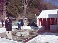 二荒山神社中宮祠境内