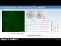 jürgen knoblich – organoid models recapitulate neural network activity in the human brain