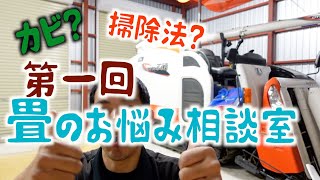 カビ取り？お手入れ方法？畳替えの価格？第一回畳のお悩み受付動画