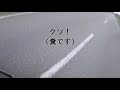 【閲覧注意】稚内まで行って凹む　2019北海道ツーリング　05