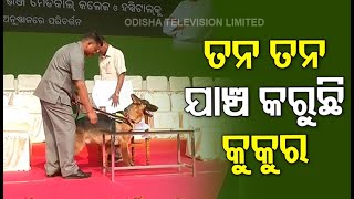 Sniffer Dog Conducts Security Check Ahead of Biju Jayanti Celebrations In Cuttack