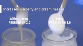 PROBIND® CH 2.0 Transglutaminase in Yogurt and Fermented Milk Products