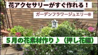 花アクセサリーがすぐ作れる！ ５月の花素材作り（押し花編） 「ガーデンフラワージュエリー®」︎💐