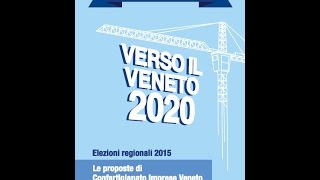 Verso il Veneto 2020. Servizio TG di Telenuovo