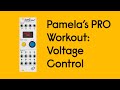 Pamela's PRO Workout: External CV - Complex Modulation, Bursts & Beats