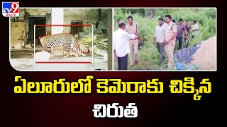 Leopard Hulchul in Eluru : ఏలూరులో కెమెరాకు చిక్కిన చిరుత..- TV9