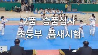 국기원심사 태권도 2품 품새 심사 태극7장 고려 기본동작  겨루기 대회 출전