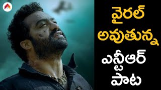 Young Tiger Junior NTR Song Going Viral