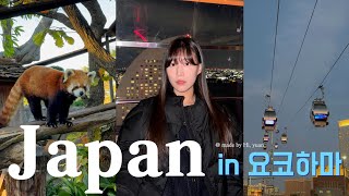 일본 요쿄하마의 모든것🎡도쿄살이 배우들의 요코하마 여행 브이로그🇯🇵유학생맛집⎮일본편의점추천⎮가챠⎮노게야마동물원⎮일본 먹방 vlog