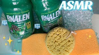 🧊🌲 ASMR Gallons of Pine Pinalen + Ice??? 🌲🧊 satisfying sponge squeezing