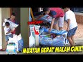 MUATAN BERAS!! TRUK GATOTKACA DIMAS DIBUAT MODE HEREX, MUATAN BERAT SAMPAI AMBRUK..