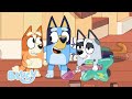 Bluey'nin Uykulu Rüyaları 🛏️😴 | Bluey Türkçe Resmi Kanal