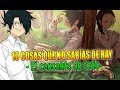 10 cosas que NO SABÍAS sobre Ray, el origen de The Promised Neverland