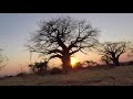 Chitake and Mana Pools Safari