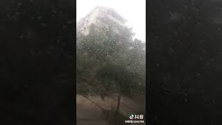 倾盆大瓢～好大的雨……️️