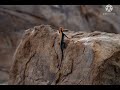 road trip belum caves gandikota fort u0026 lepakshi. surreal experience travel wanderlust roadtrip