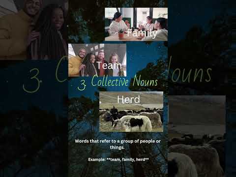 What is a noun and its types?