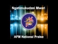 Ngatimukudzei Mwari