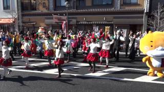 公園線北会場の総踊りタイム①(バサカニ2012）