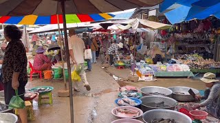 Good Morning With Organic Food & Lovely Vendors In Cambodian Market