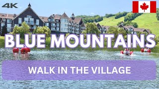 Walk in Blue Mountains Village 🇨🇦