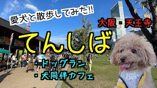 【犬連れ散歩】〜都会のオアシス〜「てんしば」をワンコと散歩！【大阪・天王寺】【阿倍野ハルカス】【犬と旅行】カフェやドックランがあって一日中過ごせておすすめ！＊17