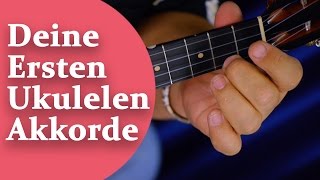 Deine ersten Akkorde auf der Ukulele