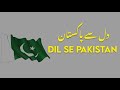 Dil SE Pakistan 🥺❤️Lyrics|By:Haroon and others|lyrical videos