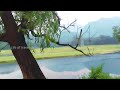 kariyathumpara travel guide kariyathumpara thonikadav kakkayam dam kariyathumpara vlog