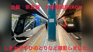 近鉄　奈良線　大阪難波駅（A01） ひのとりやしまかぜなどいろんな車両を撮影しました！