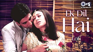 Ek Dil Hai - Lofi Mix | Ek Rishtaa | Kumar Sanu, Alka Yagnik | Lofi Slowed Reverb Songs