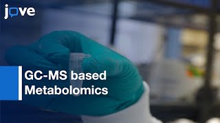 GC-MS based Metabolomics by preparing Larval Samples | Protocol Preview