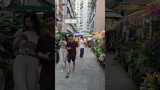 20241004 wan chai