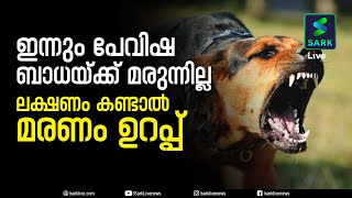 വാക്സിനെടുത്തിട്ടും പേവിഷ ബാധയേറ്റ് മരണം, കാരണമെന്ത് ? ശ്രദ്ധിക്കേണ്ടത് എന്തെല്ലാം? | Rabies